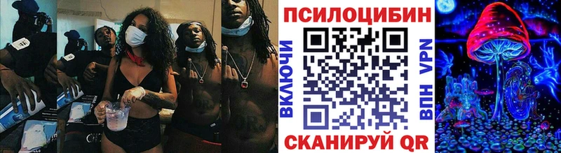 это телеграм  где продают наркотики  Кстово  Псилоцибиновые грибы Psilocybe  blacksprut ссылка 